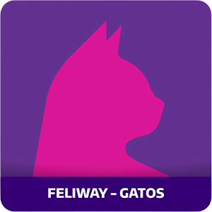 home-gato