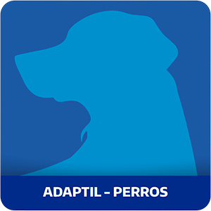 home-perro